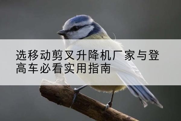 博爱电动升降机厂家-选移动剪叉升降机厂家与登高车必看实用指南