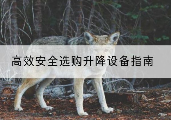 博爱升降货梯厂家推荐-*安全选购升降设备指南