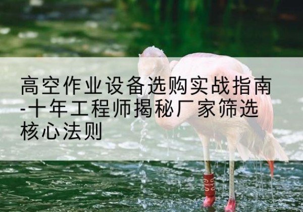 博爱剪叉式升降机厂家-高空作业设备选购实战指南-十年工程师揭秘厂家筛选核心法则